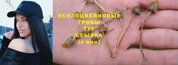 mix Каменногорск