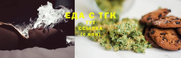стафф Каменка