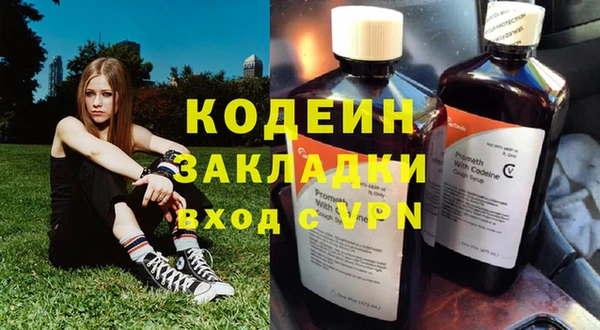 стафф Каменка