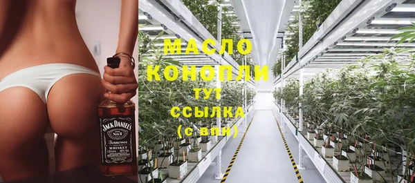 стафф Каменка