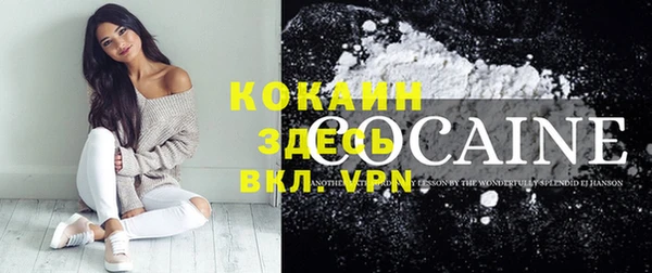 стафф Каменка