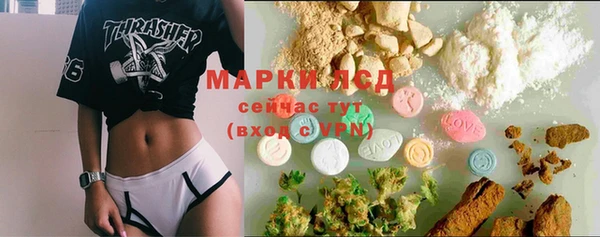 стафф Каменка