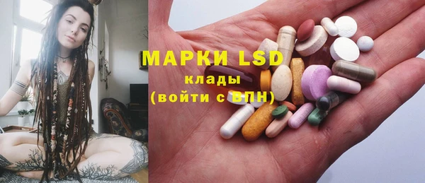 стафф Каменка